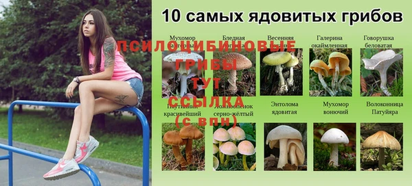 скорость Магадан