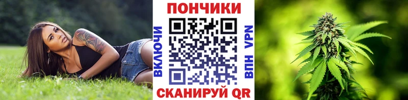 Бошки марихуана Amnesia Новокузнецк